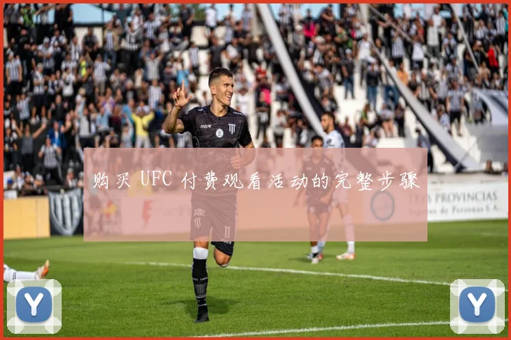 购买 UFC 付费观看活动的完整步骤