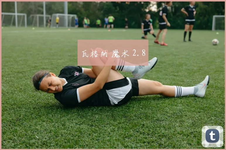 瓦格纳 魔术 2.8