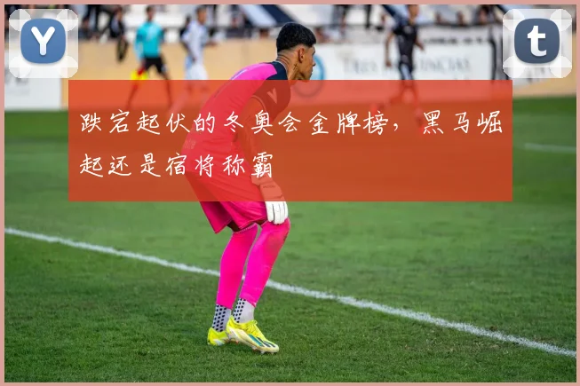 跌宕起伏的冬奥会金牌榜,黑马崛起还是宿将称霸