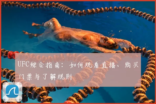 UFC综合指南：如何观看直播、购买门票与了解规则