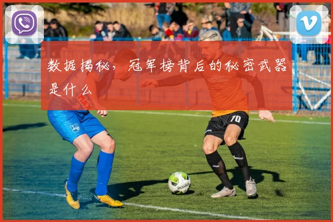 数据揭秘,冠军榜背后的秘密武器是什么