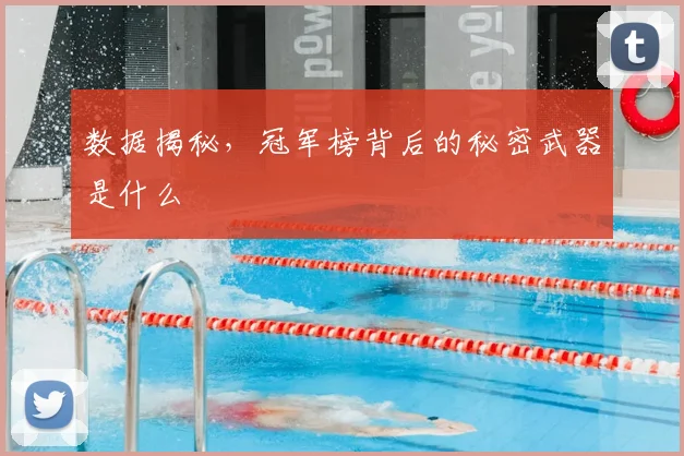 数据揭秘,冠军榜背后的秘密武器是什么