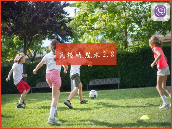 瓦格纳 魔术 2.8