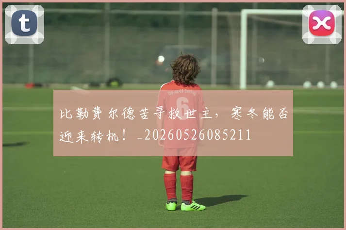 比勒费尔德苦寻救世主，寒冬能否迎来转机！_20260526085211