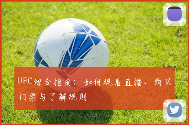 UFC综合指南：如何观看直播、购买门票与了解规则